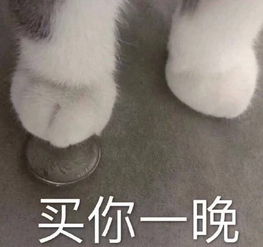 调皮搞笑专用的表情小姑娘,这么晚还不睡