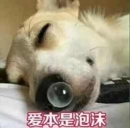 全网狂推的下一个爆款,选对白菜价的经典款就能秒杀它