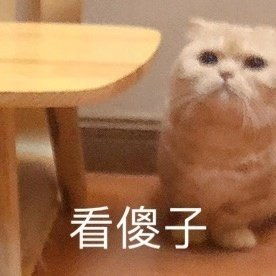 可爱搞笑表情包