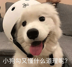 沙雕动态表情包搞笑聊天表情大全