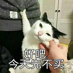 天津相声广播你们都抬头看天干嘛我才是流鼻血的那个啊
