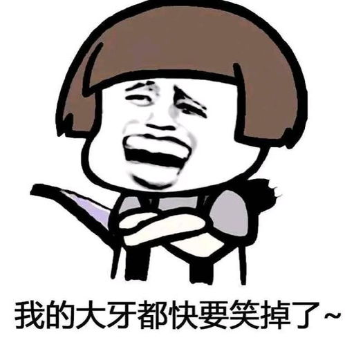 搞笑表情包一言不合就要斗图