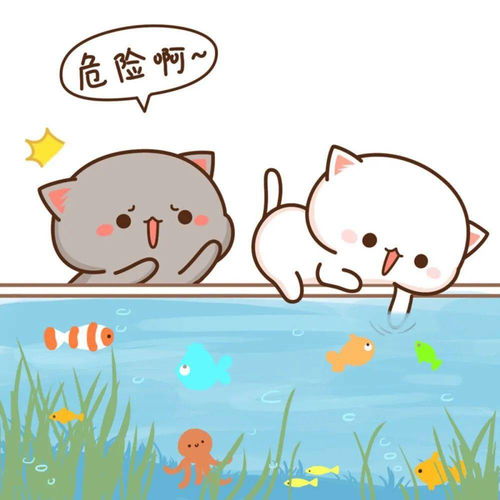 蜜桃猫情头