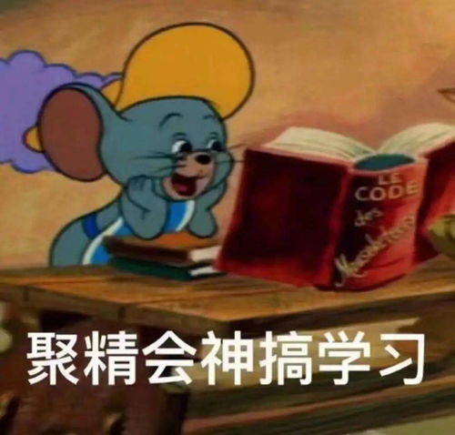 期末月听说打开这篇推文的都是过儿