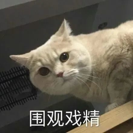 可爱表情包搞笑表情包文案大全0921期