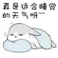 睡觉表情包搞笑图片表情包