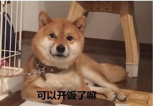 搞笑表情包图片逗你乐,我是认真的