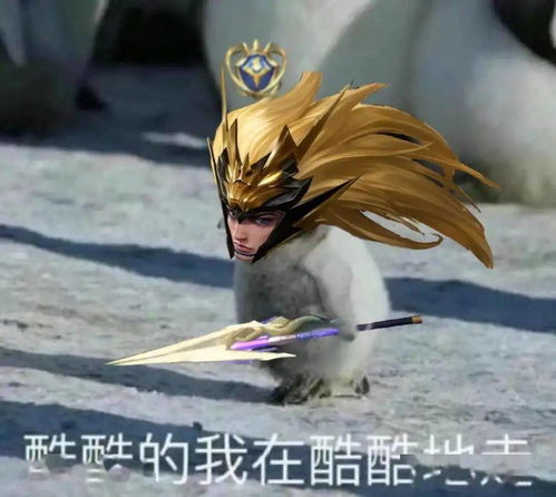 100个沙雕有趣的搞笑表情包