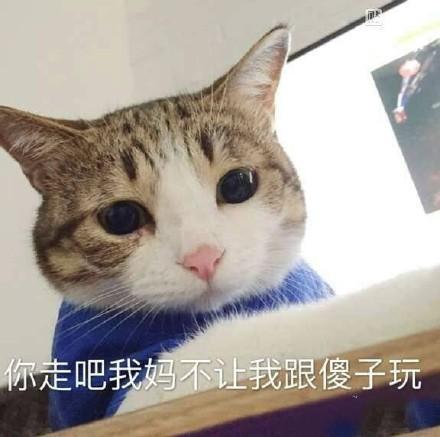 热门搞笑表情包作为一个靓仔,早已习惯孤独