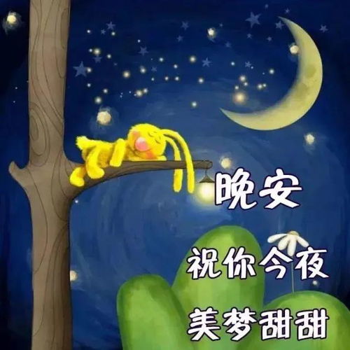 晚安搞笑表情包愿你