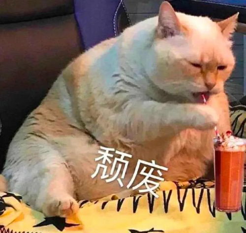 搞笑必备技能表情包3.03