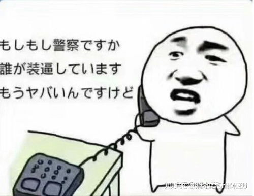 有没有什么由日语音译配字的表情包类似阿里嘎多