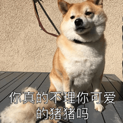 男朋友生气了怎么办哄男朋友专用表情包,非常有效哦,必须收图