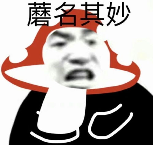 超搞笑的神反转沙雕文案