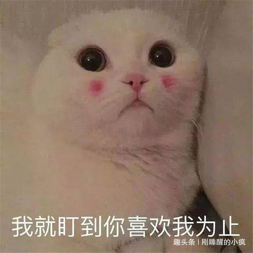 搞笑段子老师,会抽烟吗,学生,我可以学