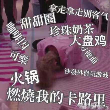 比心表情包搞笑胖子不老