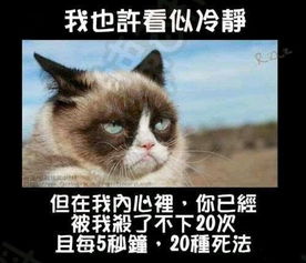 看我表情冷笑话精选分享身边的爆笑事儿