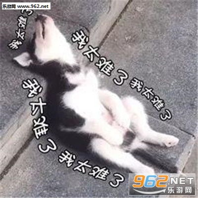 我太难了图片我太难了表情包下载乐游网游戏下载