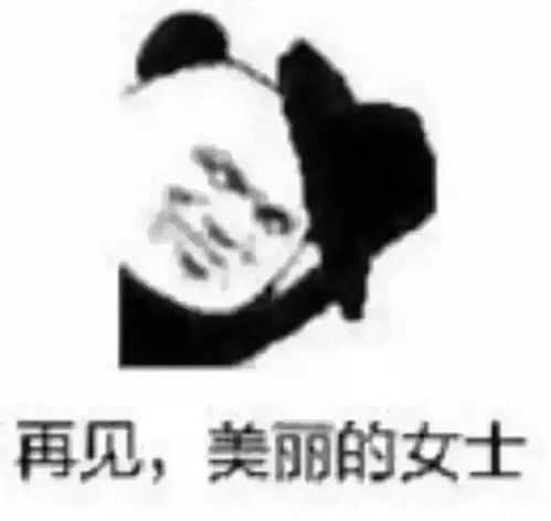 沙雕表情分享日常