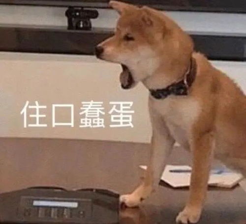 幽默笑话兄弟们,医院wifi挺快的,不用担心我