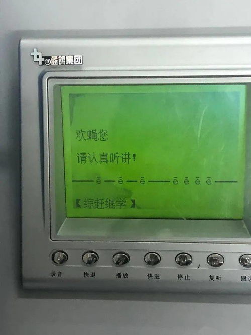 爸爸统一全国的微信头像哈哈哈评论区过于真实