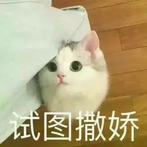 嗲爆了再过一周,全上海的吃货都将涌向这里