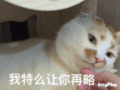 1231热门表情包今年最后一次表情包,新年快乐