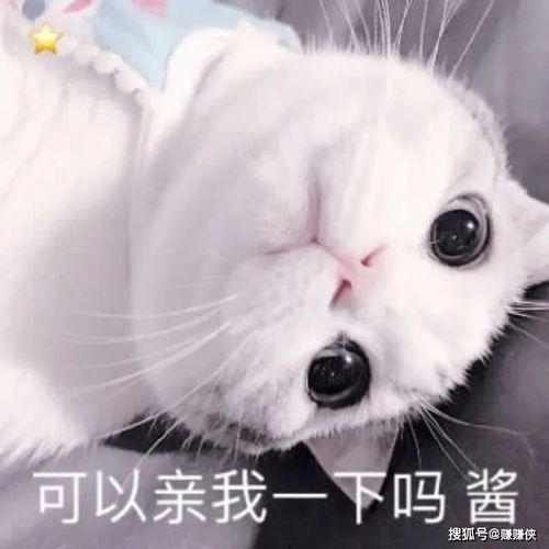 搞笑表情包图片笑的味道,你值得知道