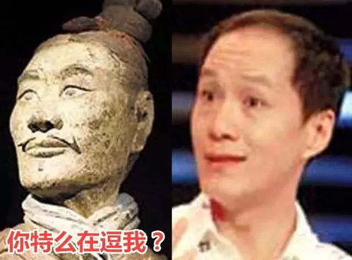 何炅式心塞马龙式傻笑林俊杰酒窝看谁还敢拿明星撞脸表情包斗图