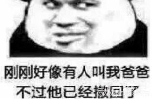 好像有人叫我爸爸不过他已经撤回了qq搞笑表情包熊猫头搞笑表情v1.0