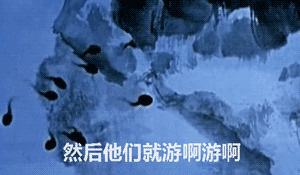 抖音小蝌蚪找妈妈表情包下载抖音小蝌蚪找妈妈恶搞版表情包高清合集极光下载站