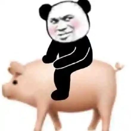 搞笑熊猫头表情包是是是你说的都对