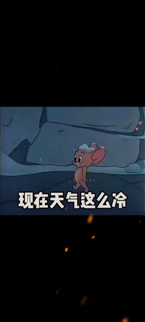 天气冷了表情包猫和老鼠搞笑视频