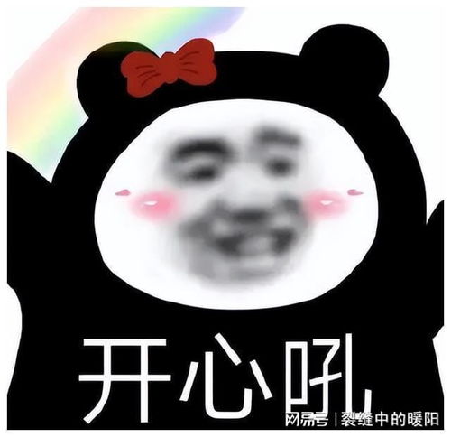 巨沙雕超级搞笑表情包熊猫