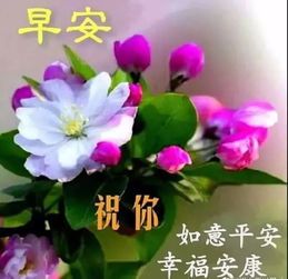 新版漂亮的早安问候动态图片最美早晨好问候表情图片带字温馨