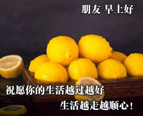 12月9日最新早晨问候表情包图片特别漂亮早上好动态表情图片