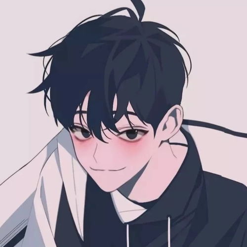 动漫男生头像要把所有的夜归还给星河,把所有的春光归还给疏疏篱落
