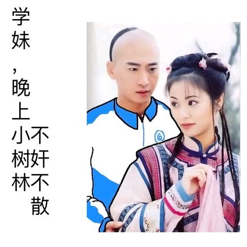 还珠格格,尔康紫薇小燕子五阿哥学生装搞笑斗图表情包