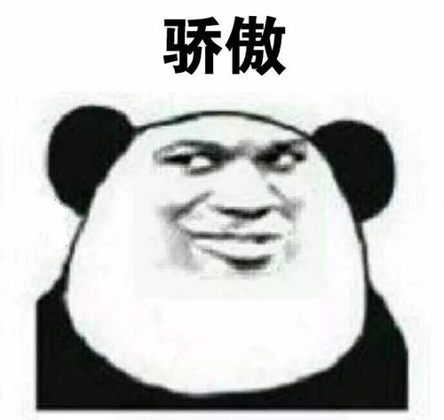 表情包每日更新,我就问你爱不爱我