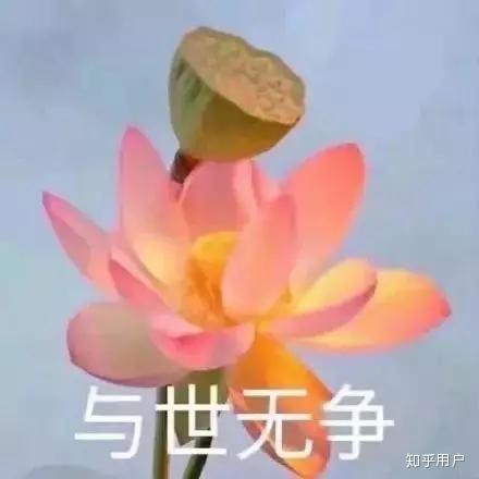 有没有比较好看的快穿小说