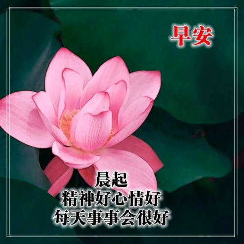 2020冬天早上好问候语图片大全,11月早安祝福图片表情发微信朋友圈