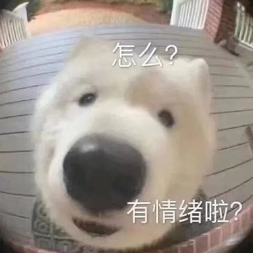 搞笑狗子表情包开门