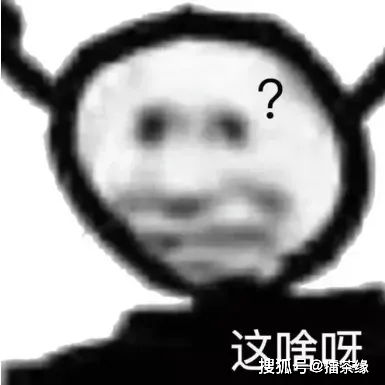 紫金陈腰伤恢复后去健身健身房老板卷钱跑路