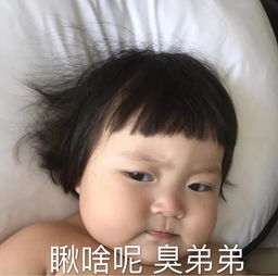 表情包丨今日份沙雕表情包