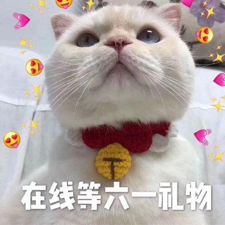 猫咪六一儿童节表情包合集