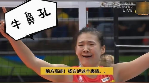 太逗了奥运决赛杨方旭这个超搞笑大鼻孔表情包,你能模仿出来吗
