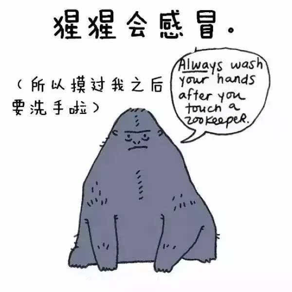 30个书本上学不到的动物冷知识呆萌可爱,孩子看了就不会忘