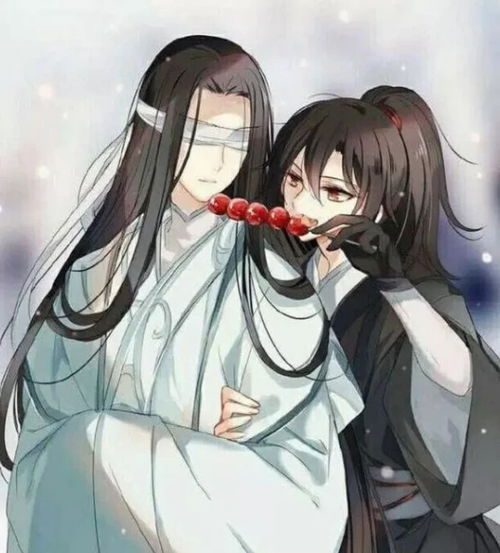 魔道祖师动画