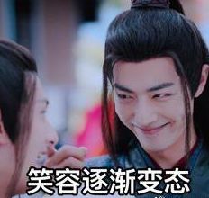有钱哥哥肖战表情包