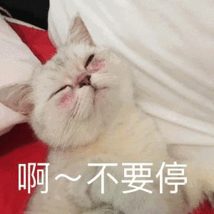妈妈说我的智商只有76